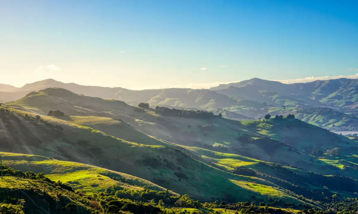 New Zealand eco-friendly, conservation efforts, sustainable wine tours